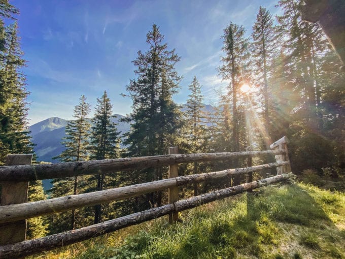 Impressionen Prenner Alm Sommer